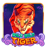 Year Of The Wild Wild Tiger